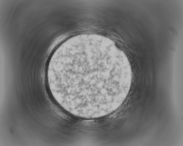 X0000111190054200908121057