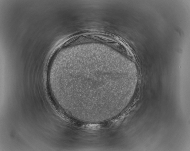 X0000111190055200908121057