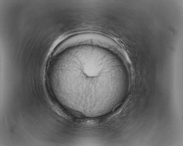 X0000111190056200908121057