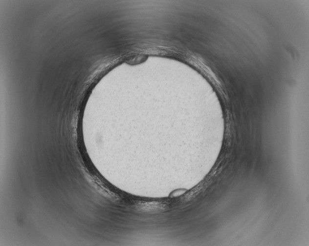 X0000111190058200908121057