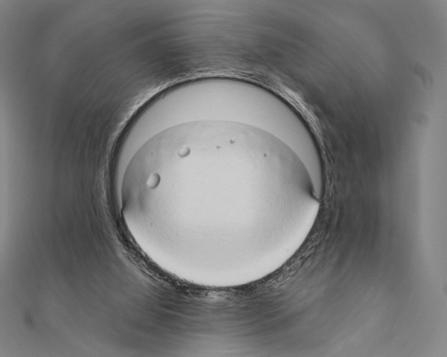 X0000111190060200908121057