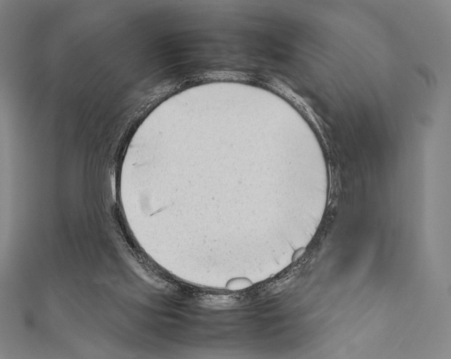 X0000111190061200908121057