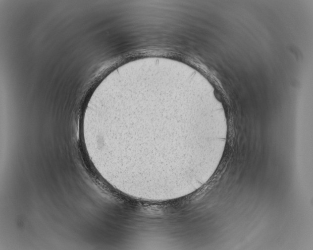X0000111190062200908121057