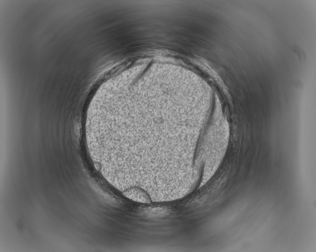 X0000111190063200908121057