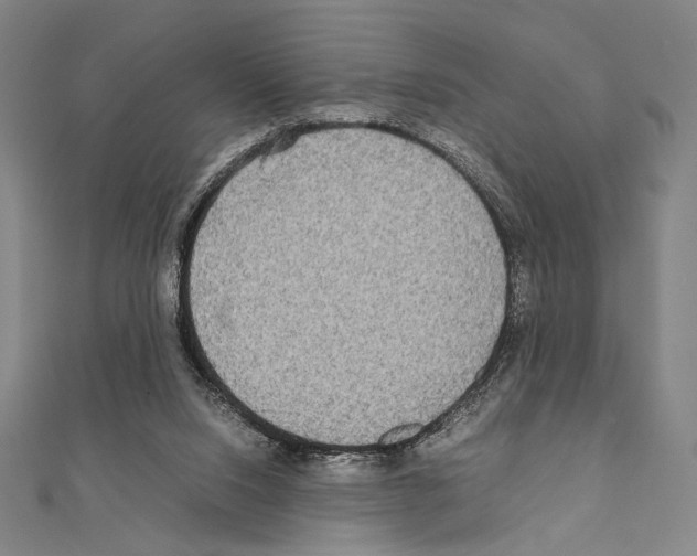 X0000111190064200908121057