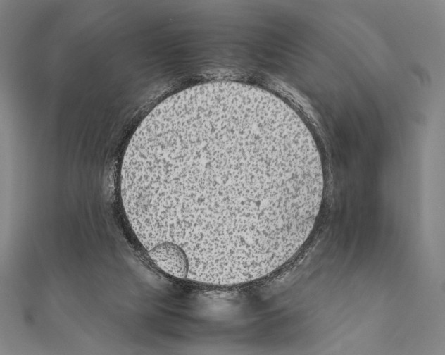 X0000111190065200908121057