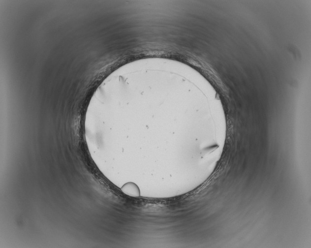 X0000111190066200908121057
