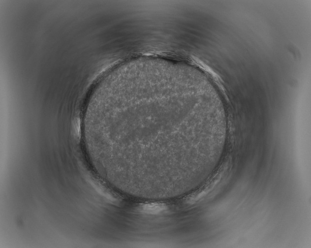 X0000111190067200908121057