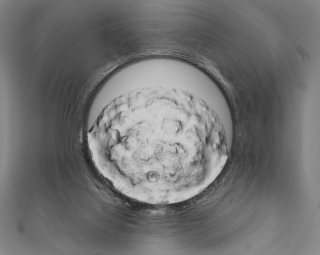 X0000111190068200908121057