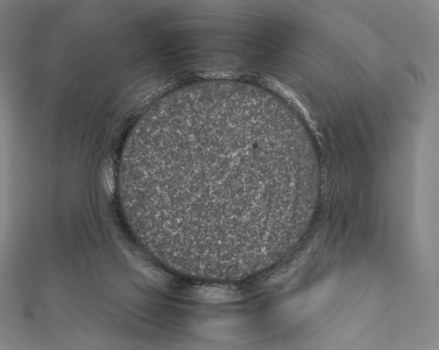 X0000111190069200908121057