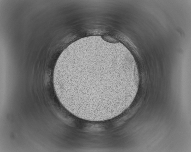 X0000111190073200908121057