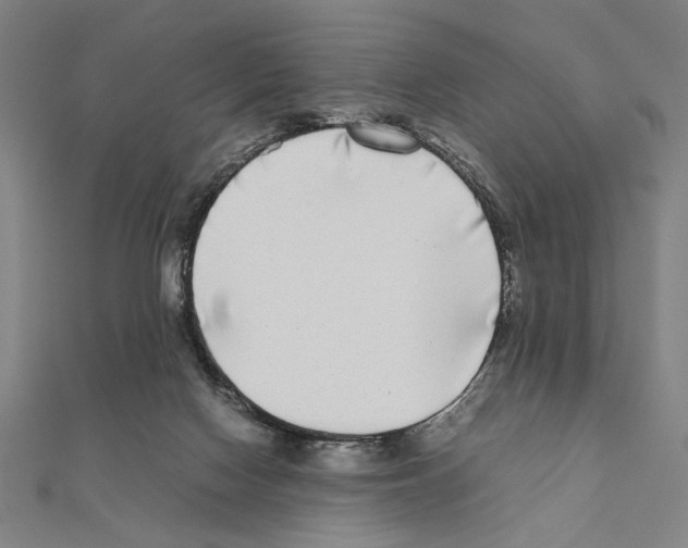 X0000111190074200908121057