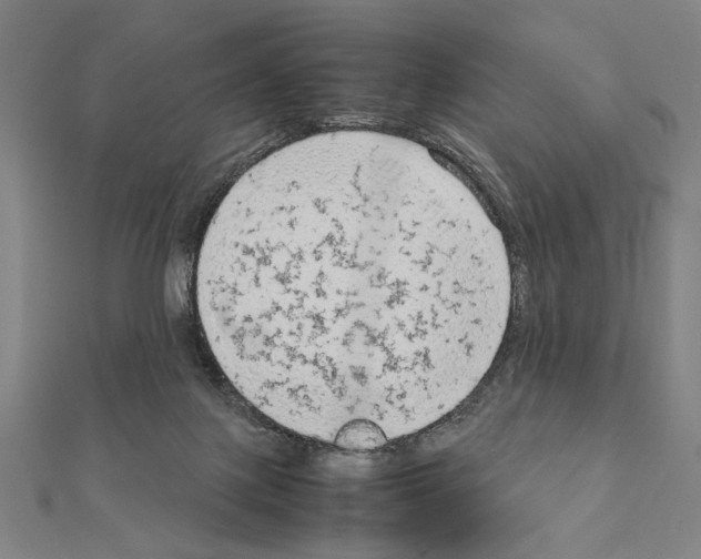 X0000111190075200908121057