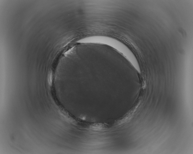 X0000111190076200908121057