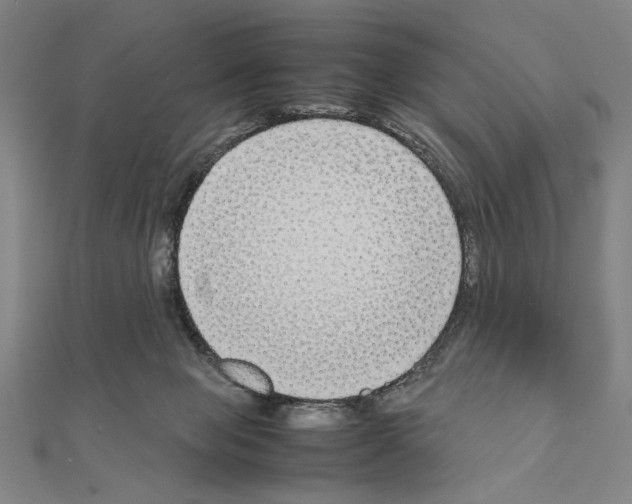 X0000111190077200908121057
