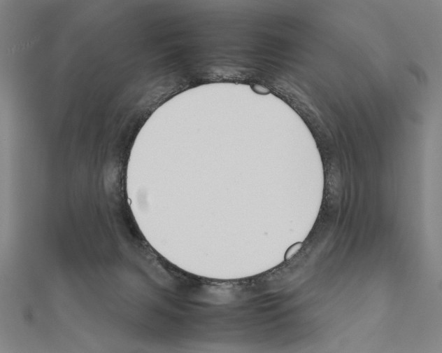 X0000111190079200908121057