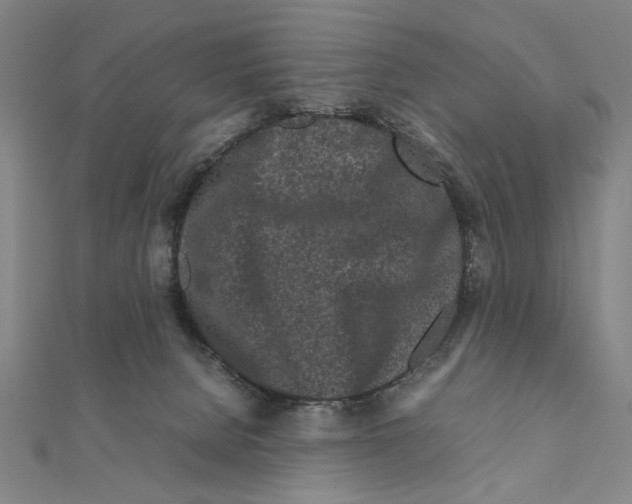 X0000111190080200908121057