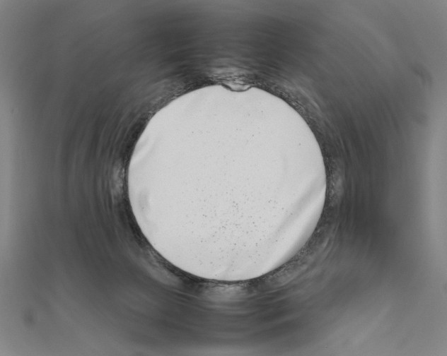 X0000111190081200908121057