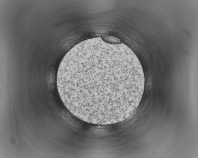 X0000111190082200908121057