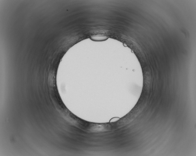 X0000111190083200908121057