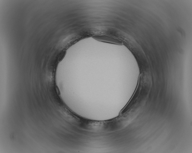 X0000111190084200908121057