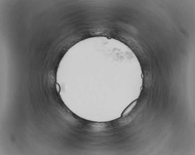 X0000111190085200908121057