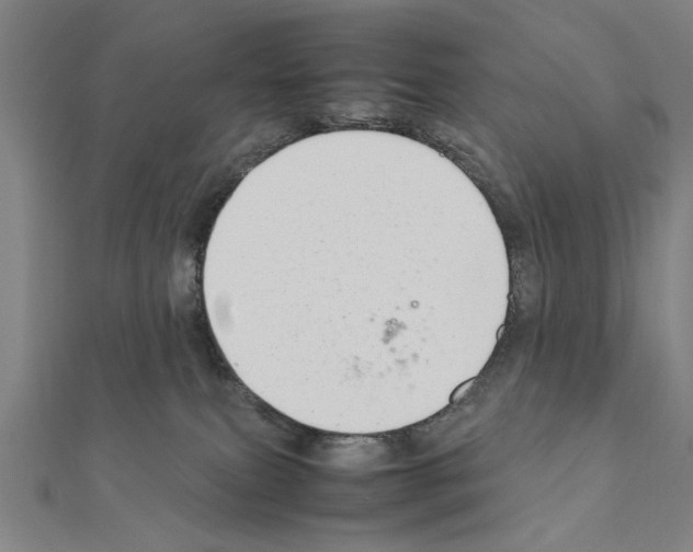 X0000111190087200908121057