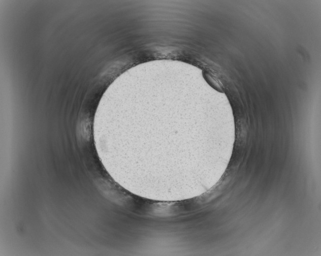 X0000111190090200908121057