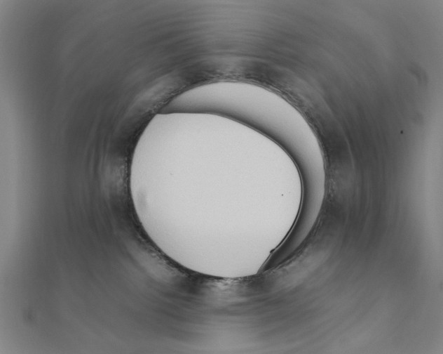 X0000111190092200908121057