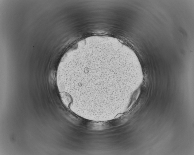 X0000111190093200908121057