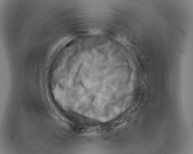 X0000111190097200908121056