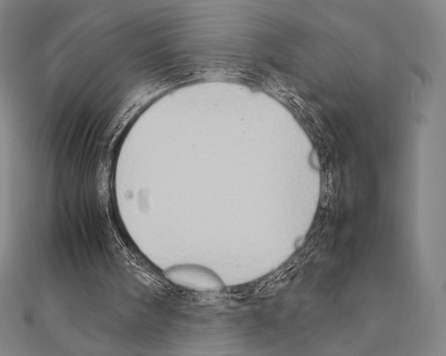 X0000111190098200908121056
