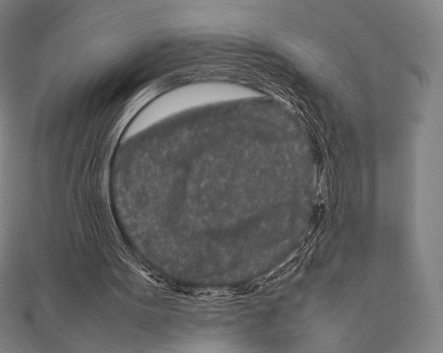 X0000111190099200908121056