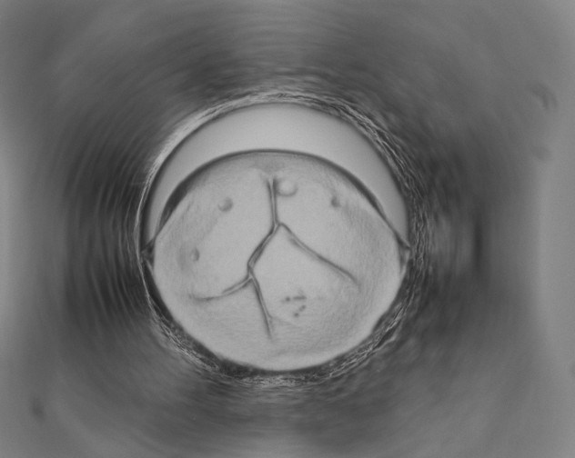 X0000111190100200908121056