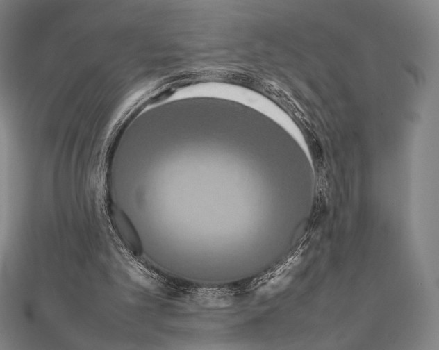 X0000111190101200908121056