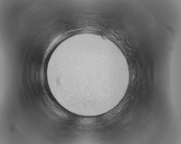X0000111190102200908121056