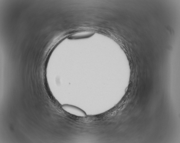 X0000111190103200908121056