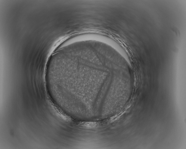 X0000111190104200908121056