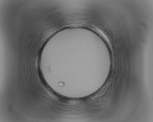 X0000111190105200908121056