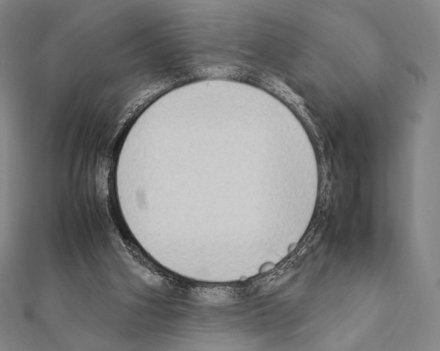 X0000111190106200908121056