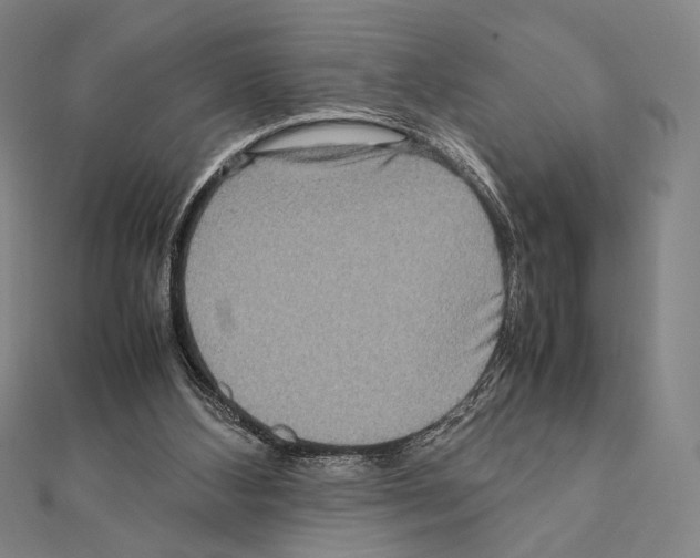 X0000111190108200908121056