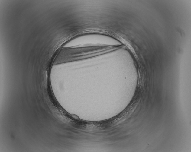X0000111190109200908121056