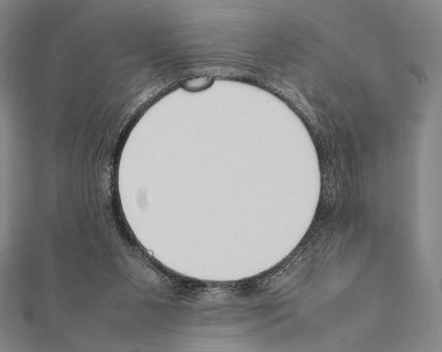 X0000111190111200908121056