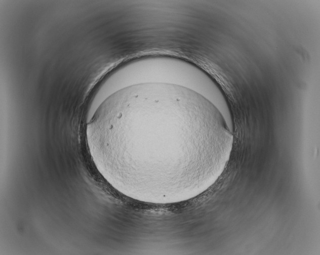 X0000111190112200908121056