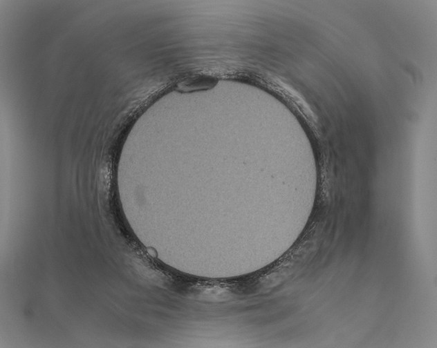 X0000111190113200908121056