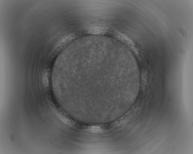 X0000111190114200908121056