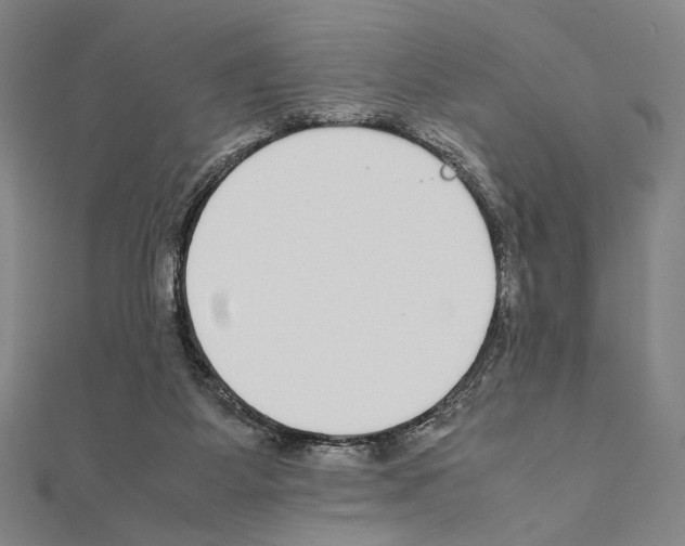X0000111190115200908121056