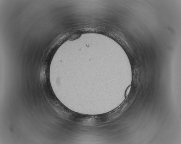 X0000111190116200908121056