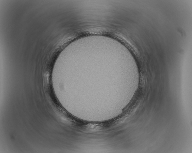 X0000111190117200908121056