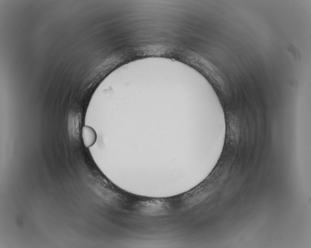X0000111190118200908121056